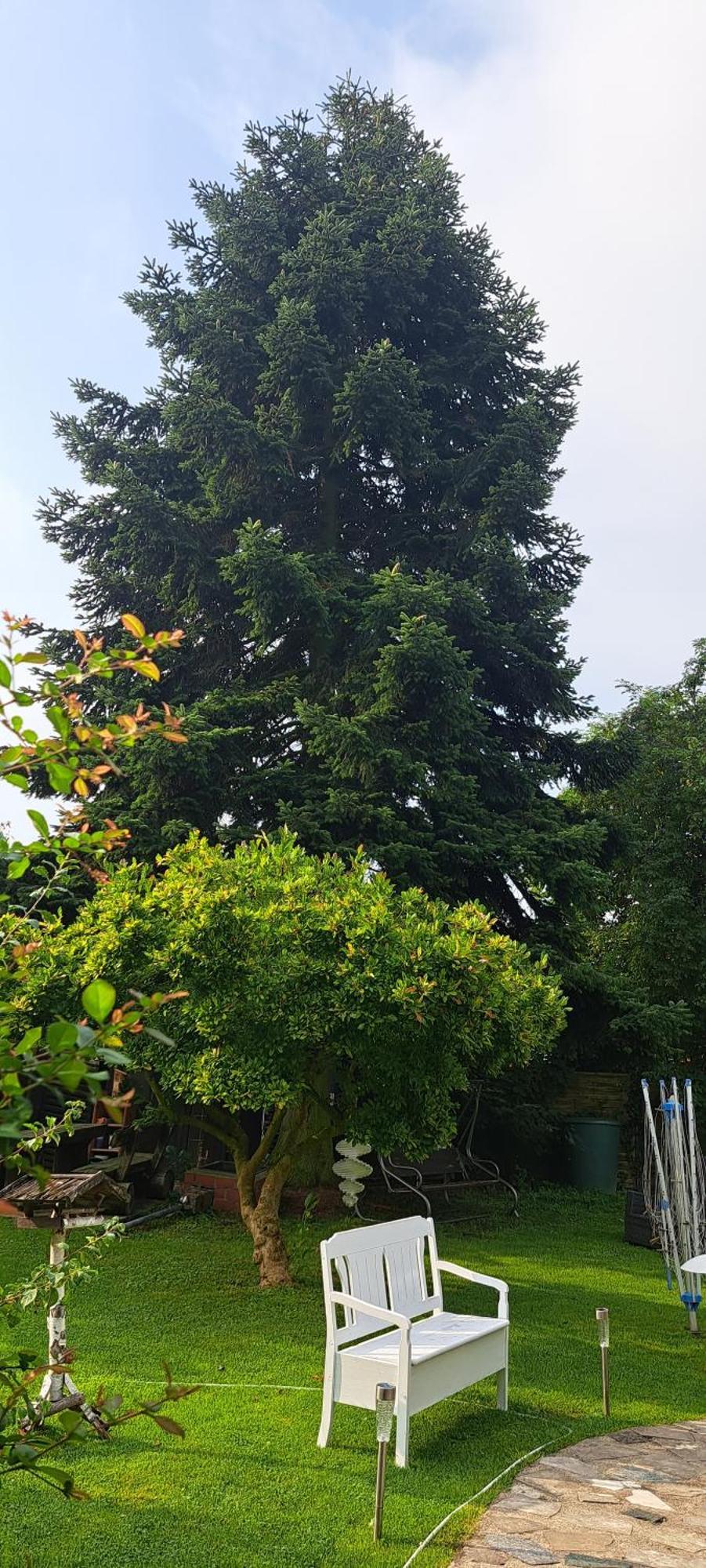 Bungalow An Der Tanne Mit Ueberdachter Terrasse Dusseldorf Ngoại thất bức ảnh