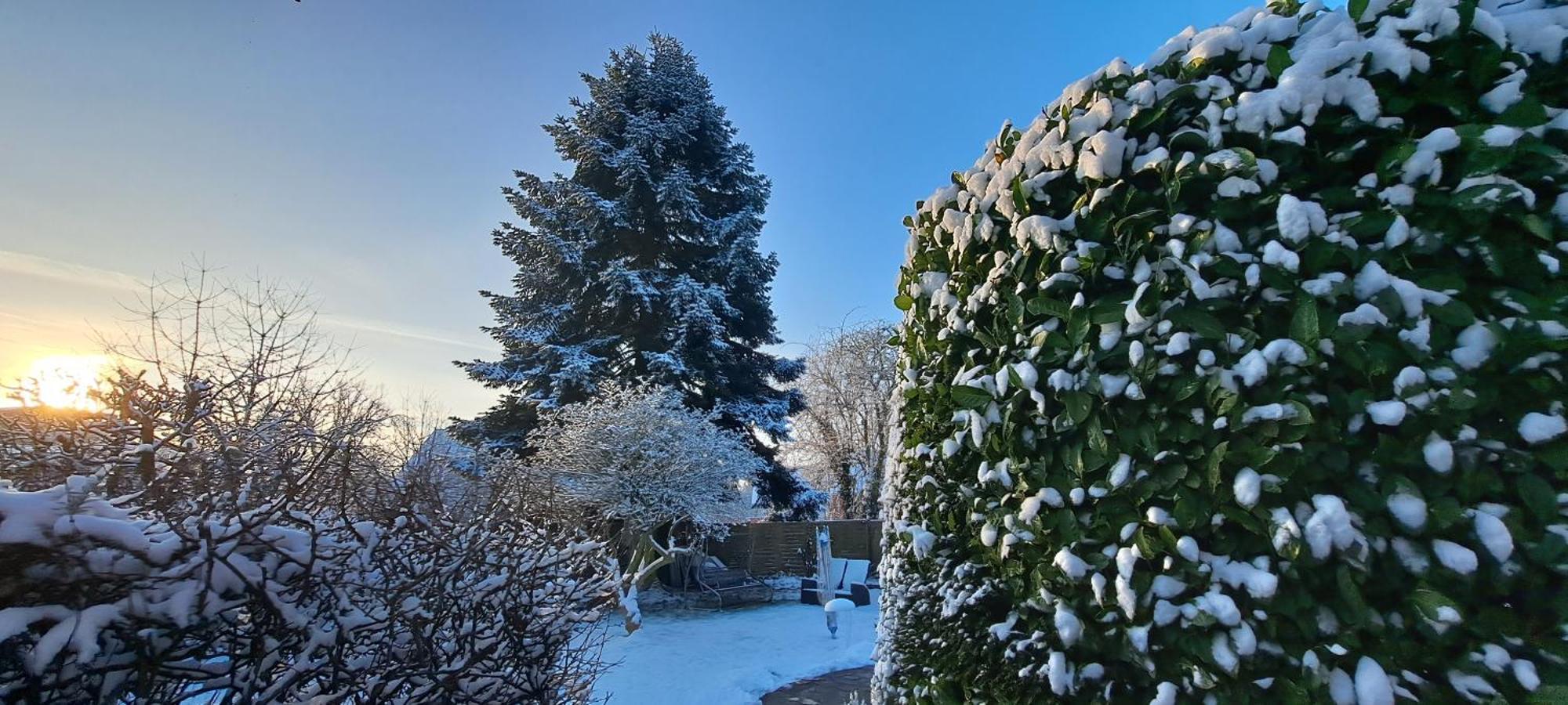 Bungalow An Der Tanne Mit Ueberdachter Terrasse Dusseldorf Ngoại thất bức ảnh