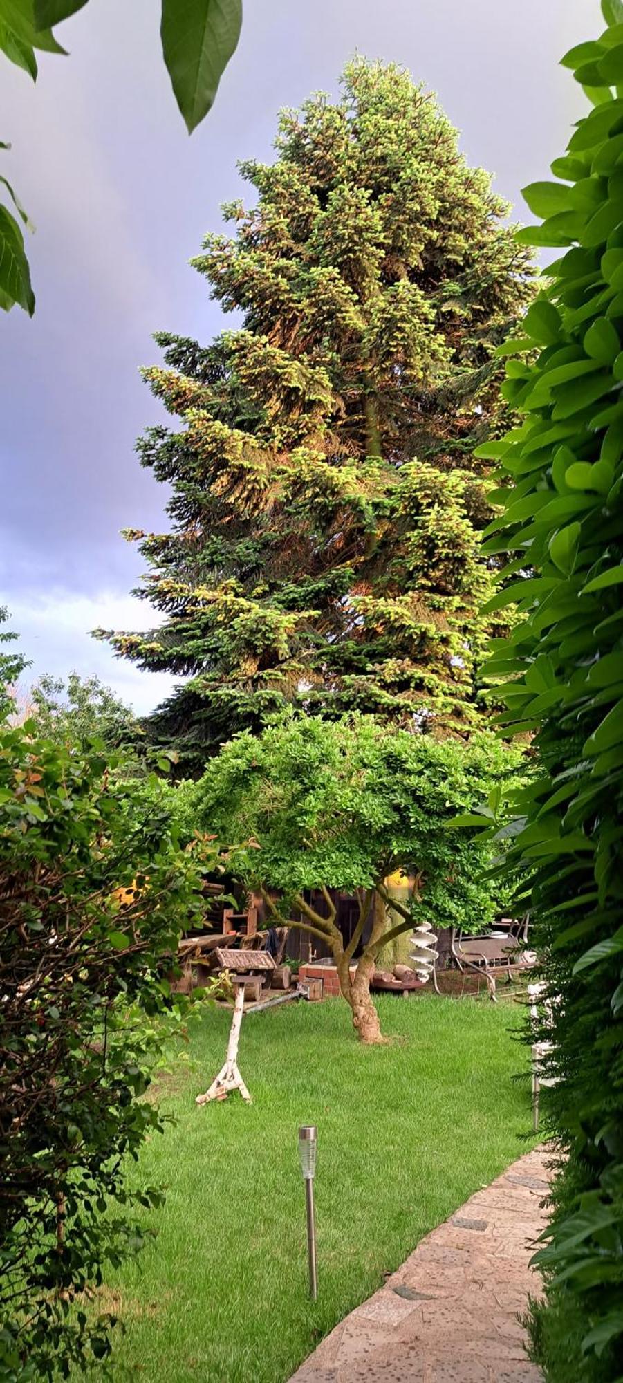 Bungalow An Der Tanne Mit Ueberdachter Terrasse Dusseldorf Ngoại thất bức ảnh